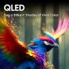 imageHisense 100Inch Class QD7 Series QLED 4K UHD Google Smart TV 100QD7N 2024 Model  QLED Native 144Hz Motion Rate 240 Direct Full Array Game Mode Pro Alexa Compatibility85Inch